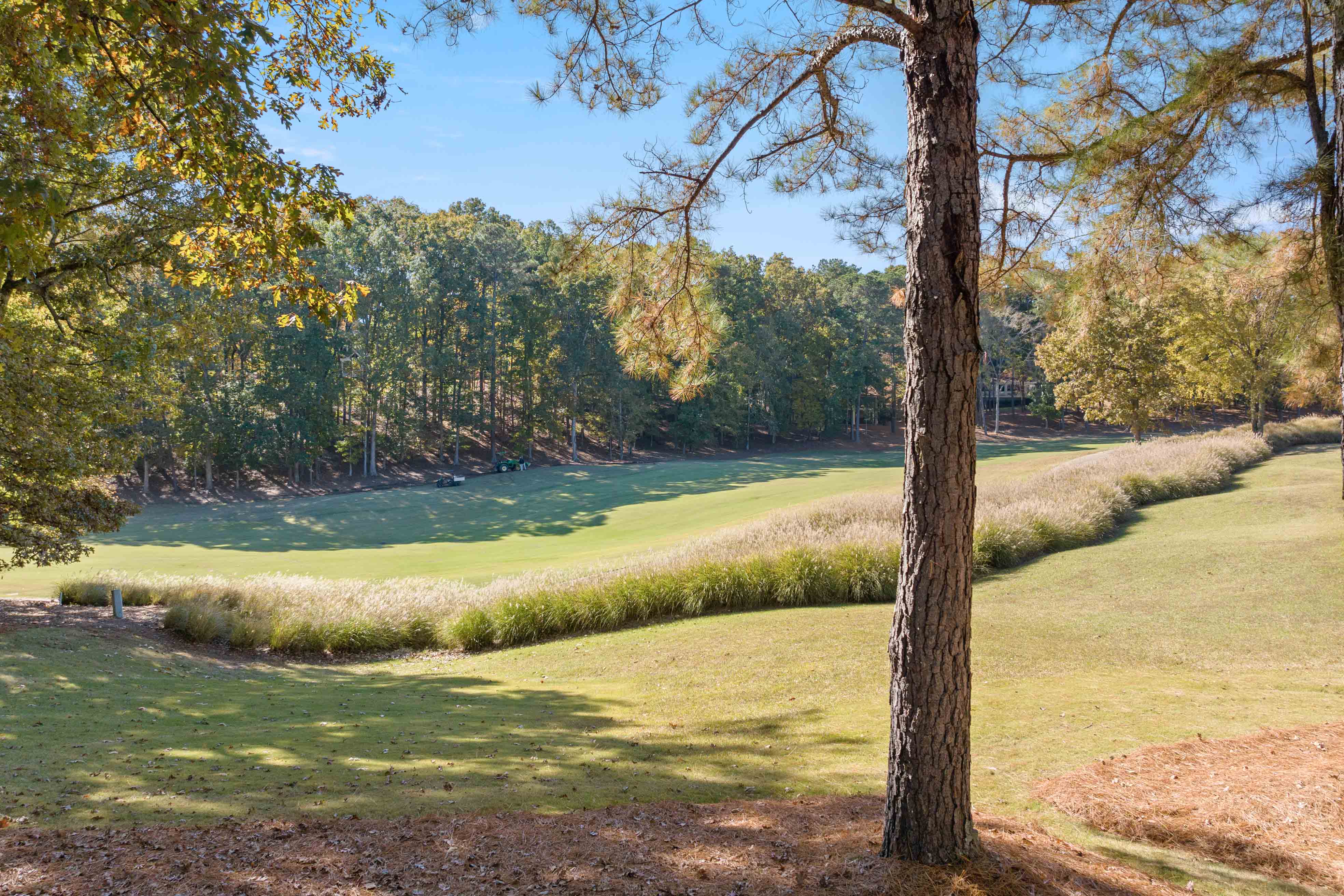 1033 Clubhouse Lane image 30